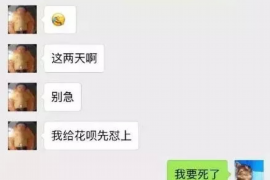 昭通专业讨债公司有哪些核心服务？